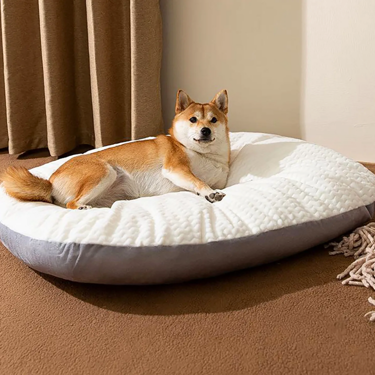Aurora Oval Cushion
