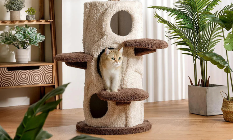 Modern beige and brown cat tower with multiple platforms and hideouts, featuring a cat standing on the middle perch. Stylish pet furniture designed to blend with home interiors.