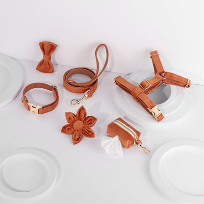 Velour Luxe Pet Set