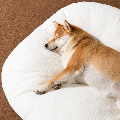 Aurora Oval Cushion