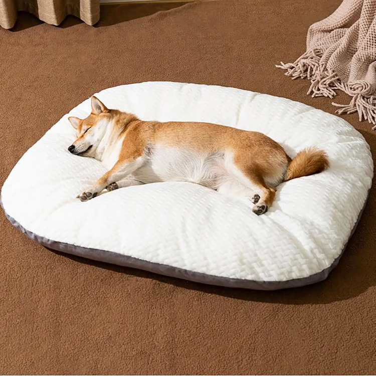 Aurora Oval Cushion
