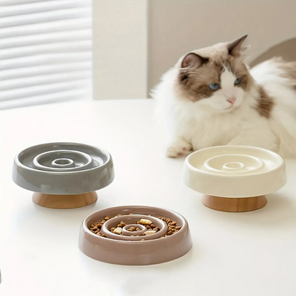 Ease Slow Feeder Bowl