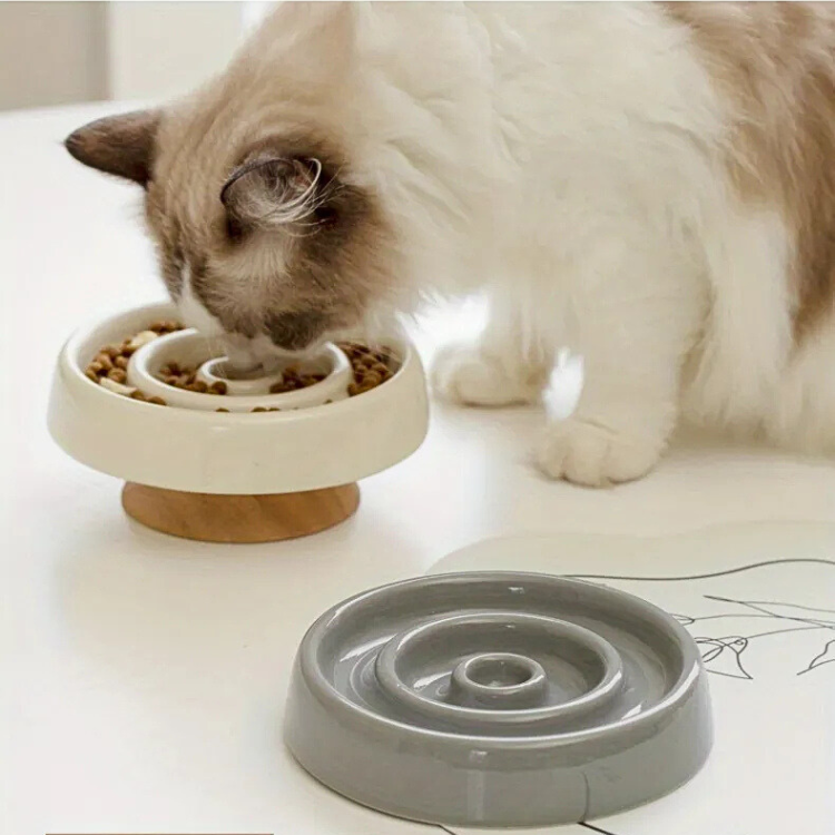 Ease Slow Feeder Bowl