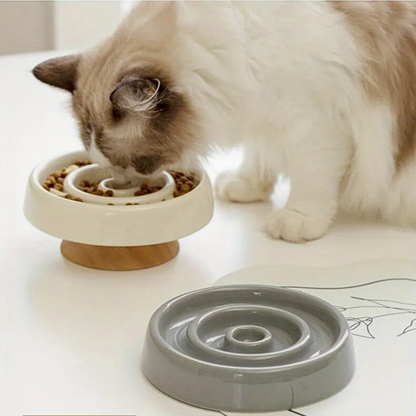 Ease Slow Feeder Bowl