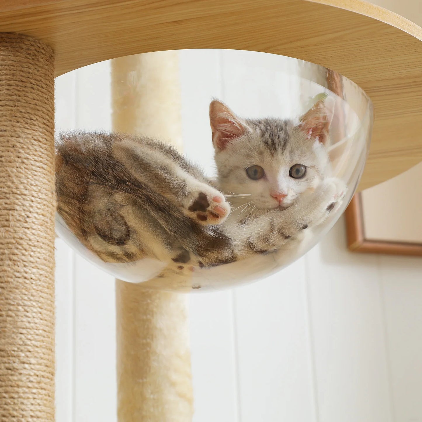 Bailey Cat Tower