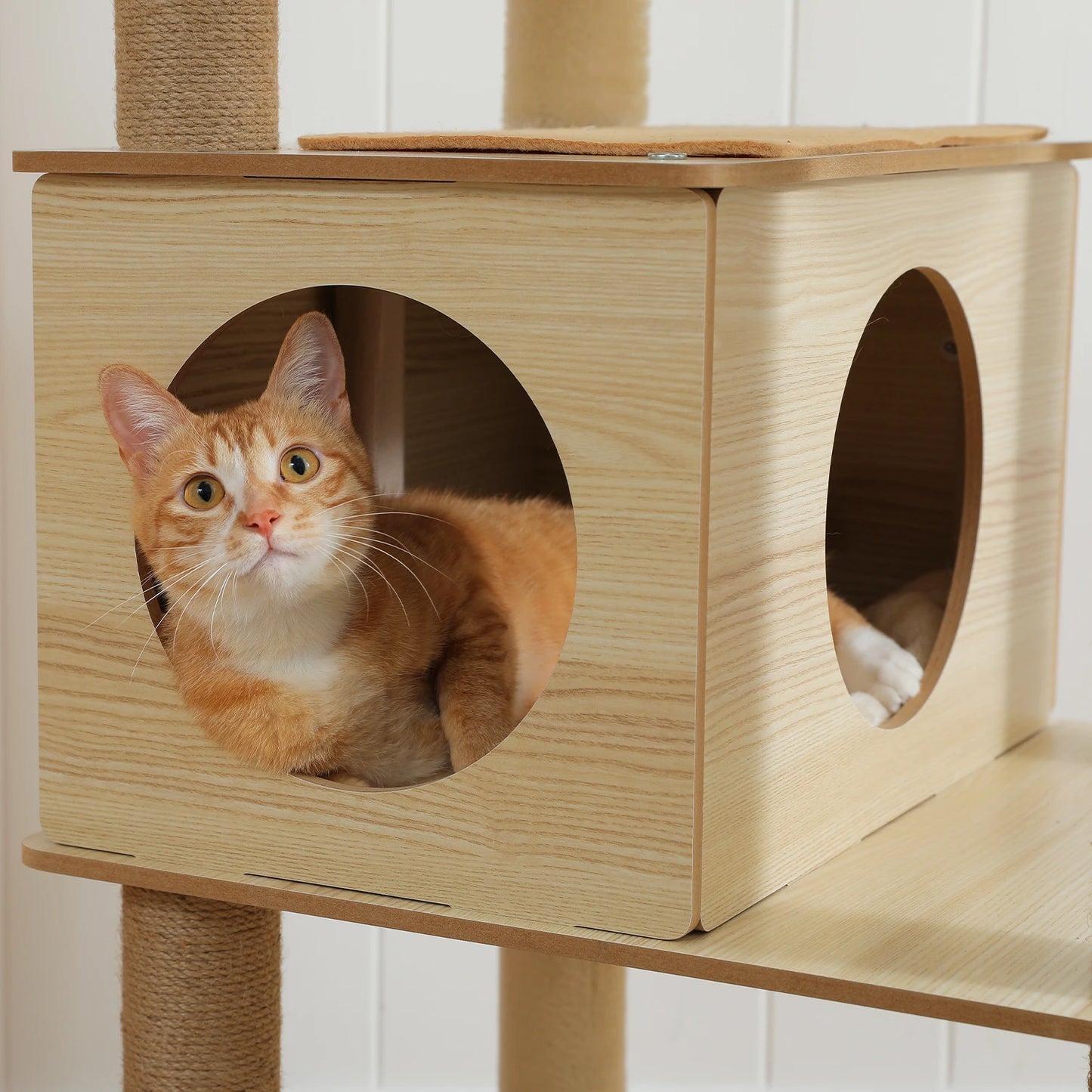 Bailey Cat Tower