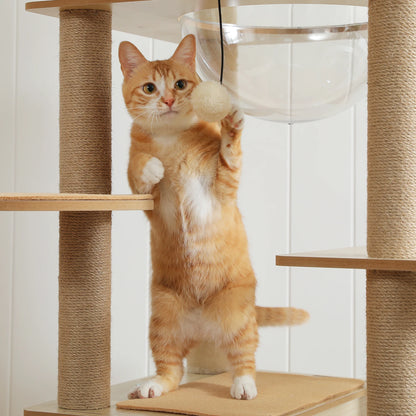 Bailey Cat Tower