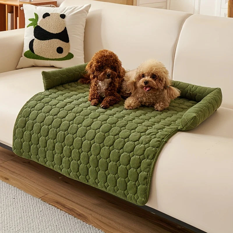 Cooper Cushion
