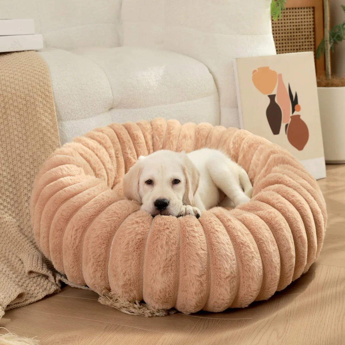 Daisy Dreams Dog Bed