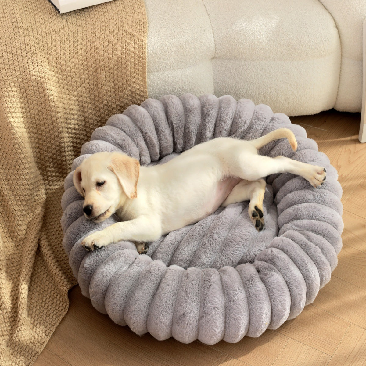 Daisy Dreams Dog Bed